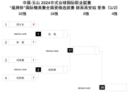 米兰体育-科特迪瓦队遭受打击，遗憾小组赛出局