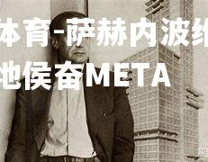 萨赫内波维，南肯看地侯奋META